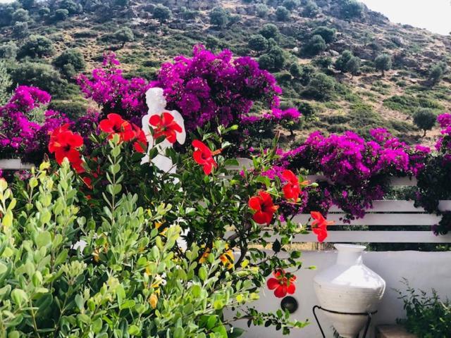 La Bastide Apartment Skyros Exterior foto