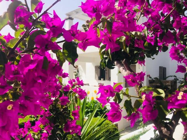 La Bastide Apartment Skyros Exterior foto