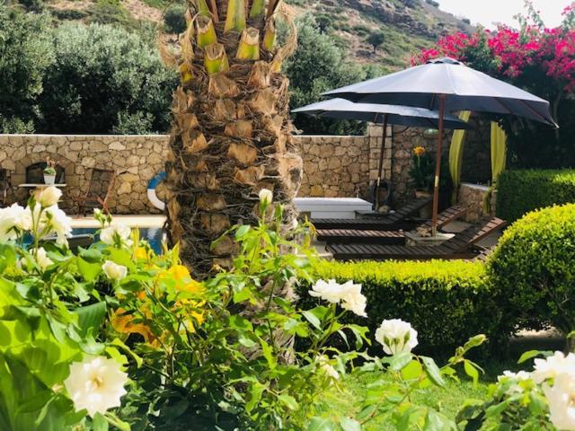 La Bastide Apartment Skyros Exterior foto
