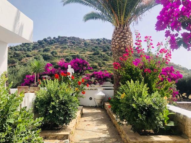 La Bastide Apartment Skyros Exterior foto